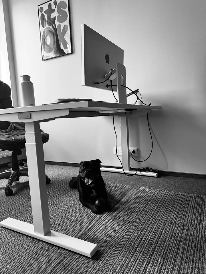 Solo under a studio desk