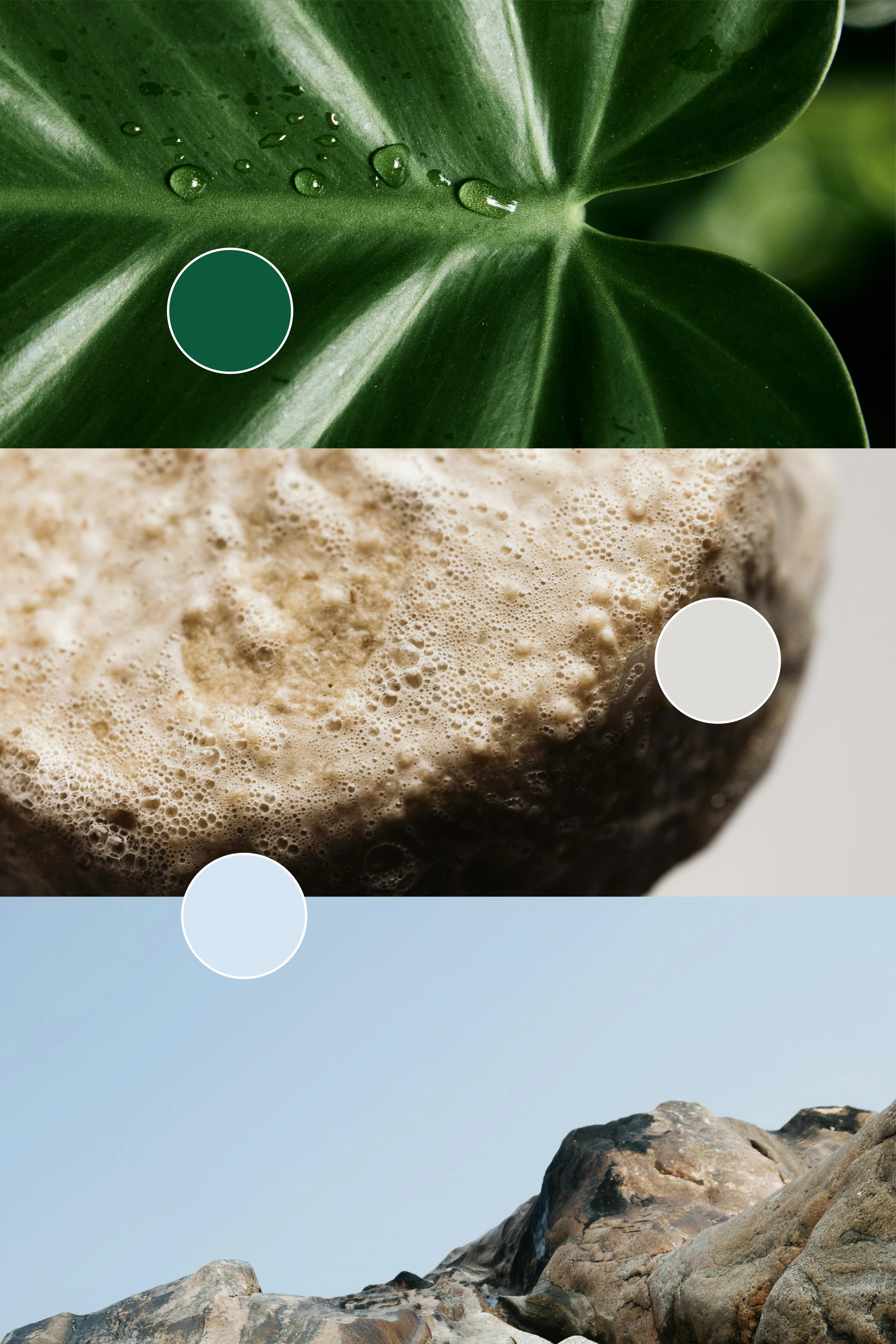 The palette as three worlds: Trusted Green in a leaf, Warm Grey in stone, Modern Blue in open sky